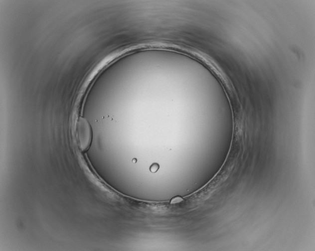 X0000112880911200909041638