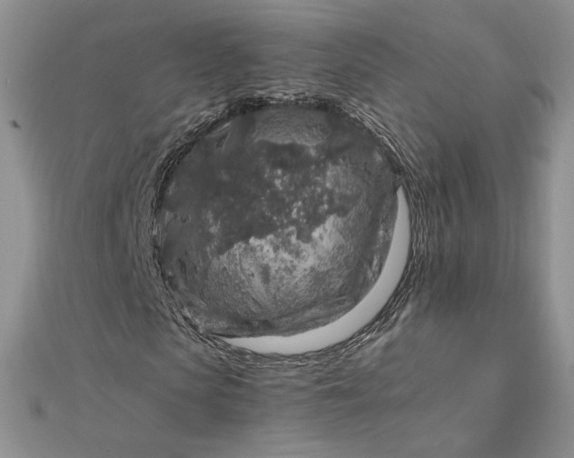 X0000112880913200909041638