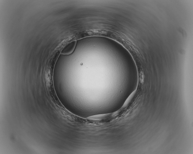 X0000112880915200909041638