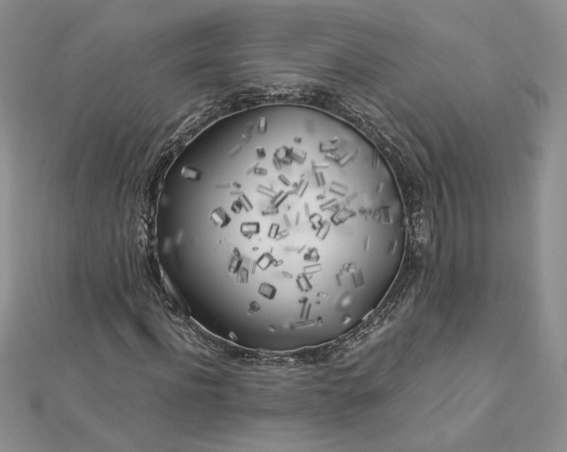 X0000112880916200909041638