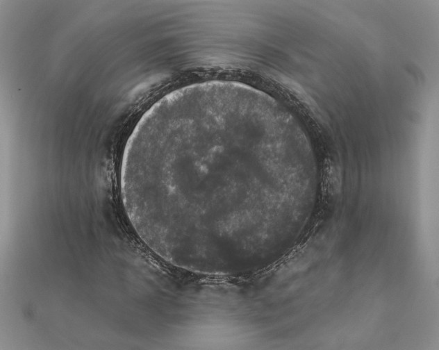 X0000112880918200909041638