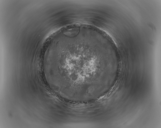 X0000112880919200909041638