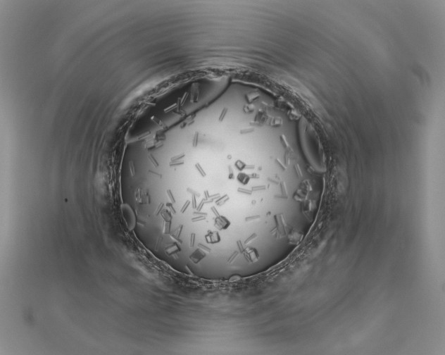 X0000112880920200909041638