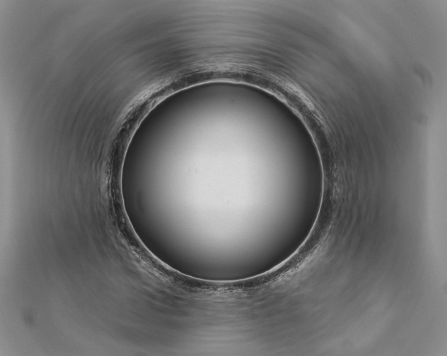 X0000112880922200909041638