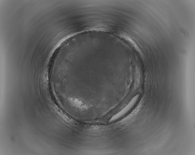 X0000112880923200909041638