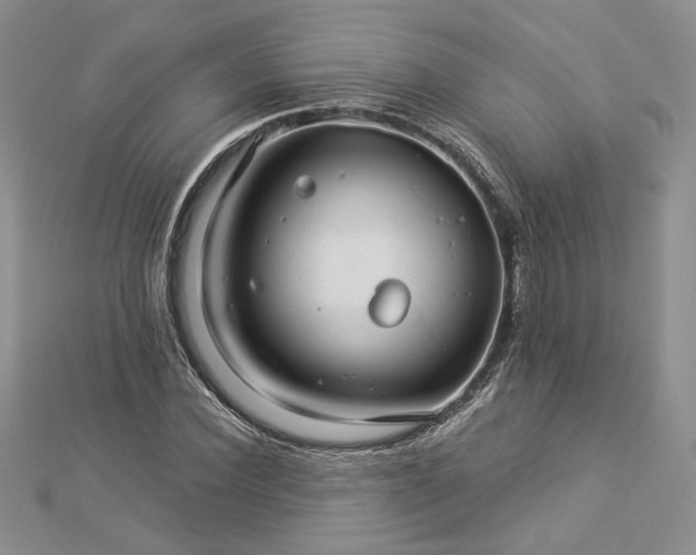 X0000112880924200909041638