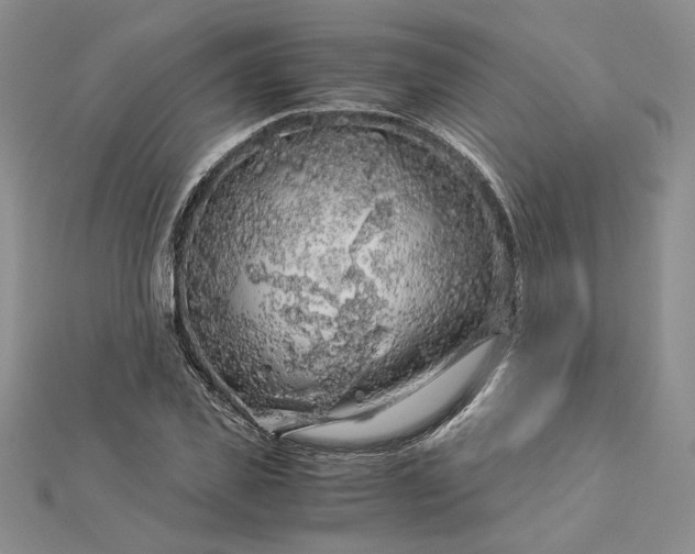 X0000112880925200909041638