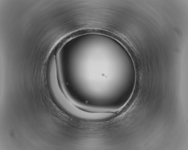 X0000112880926200909041638