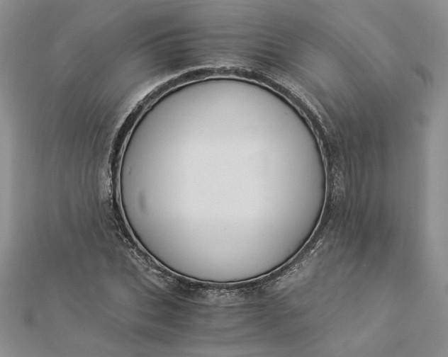 X0000112880927200909041638