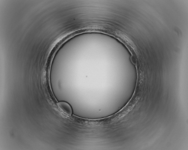 X0000112880928200909041638