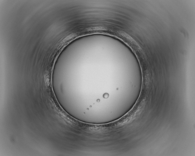 X0000112880929200909041638