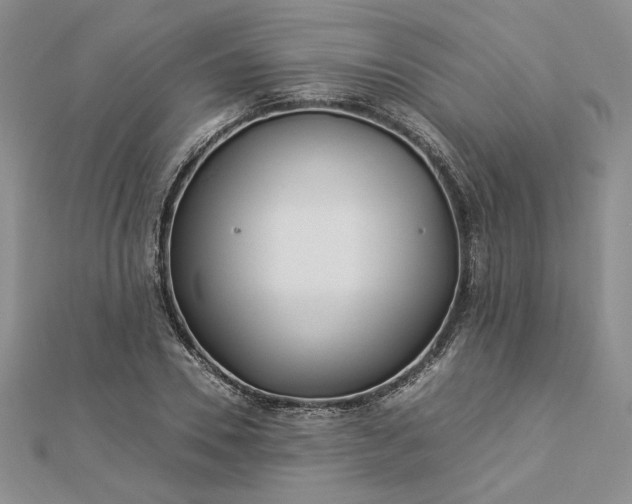 X0000112880930200909041638