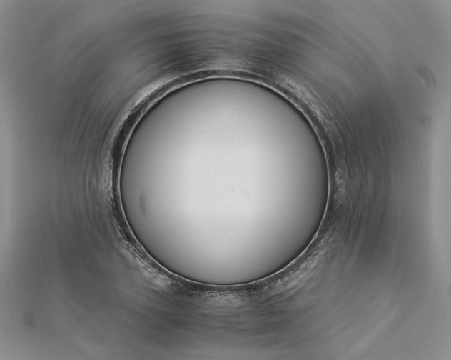 X0000112880931200909041638