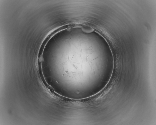 X0000112880932200909041638