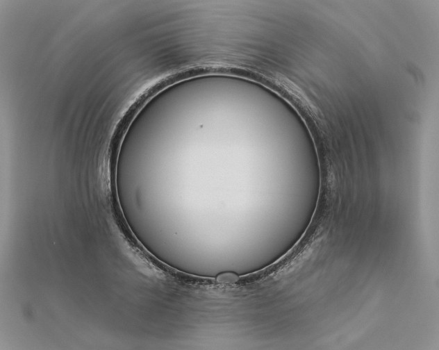 X0000112880934200909041638