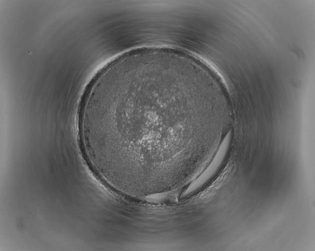 X0000112880935200909041638