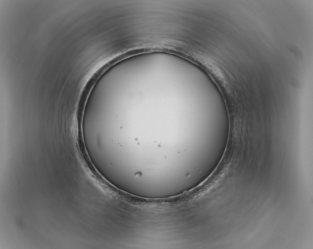 X0000112880936200909041638