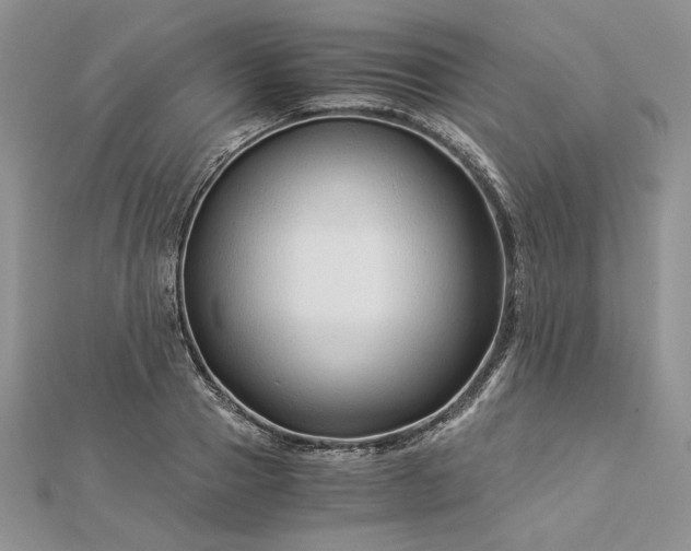 X0000112880937200909041638