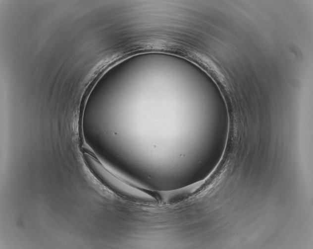 X0000112880938200909041638