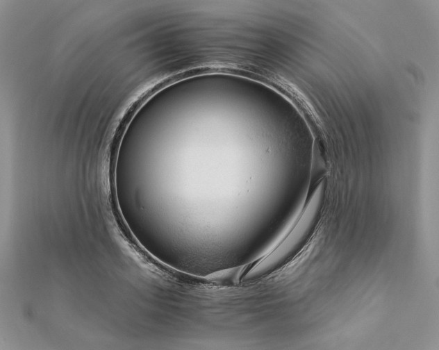 X0000112880939200909041638