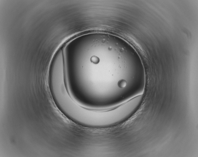 X0000112880940200909041638