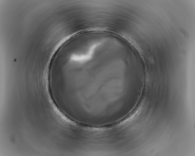 X0000112880941200909041638