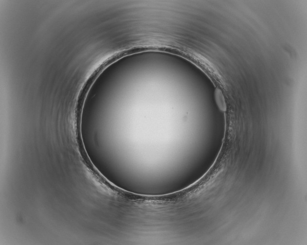 X0000112880942200909041638