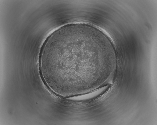 X0000112880943200909041638