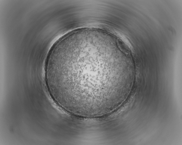 X0000112880944200909041638