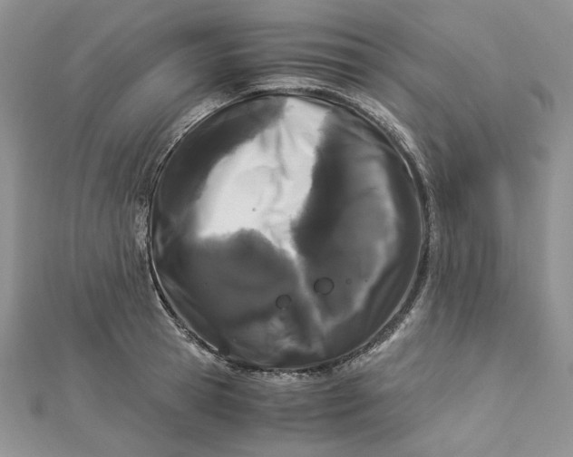 X0000112880945200909041638