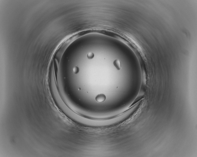 X0000112880948200909041638