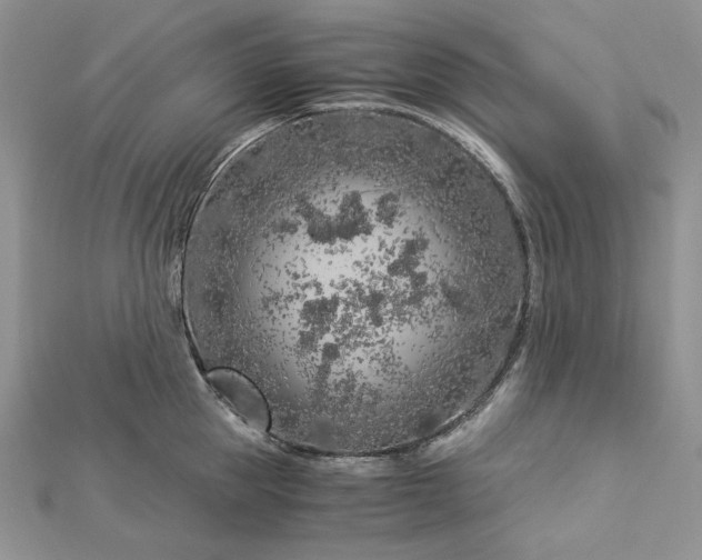 X0000112880953200909041638