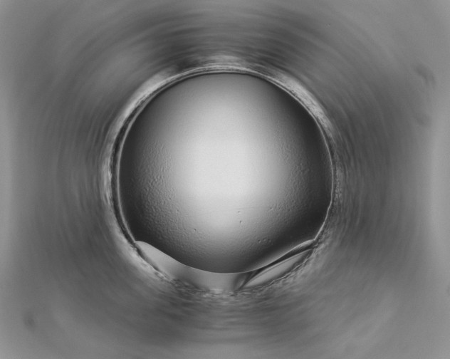 X0000112880955200909041638