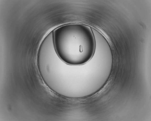 X0000112880956200909041638