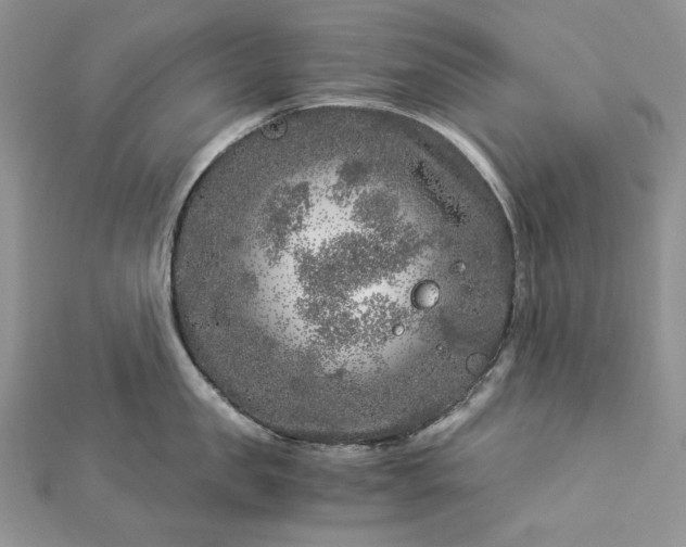 X0000112880957200909041638