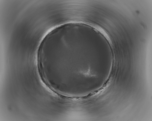 X0000112880958200909041638