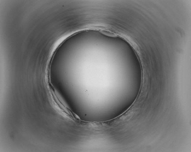 X0000112880960200909041638