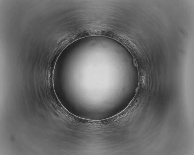 X0000112880964200909041638