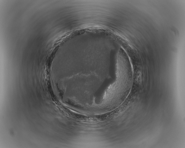 X0000112880966200909041638