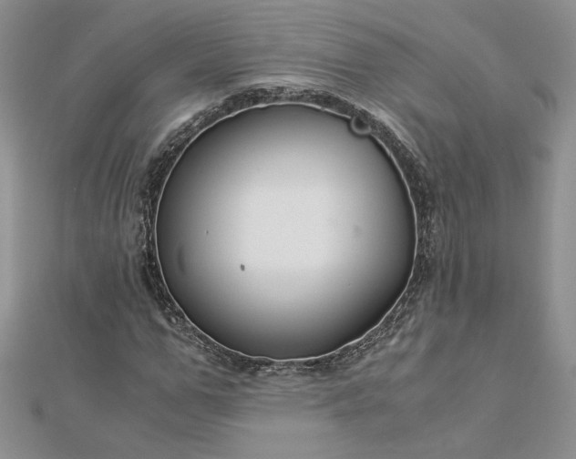 X0000112880967200909041638