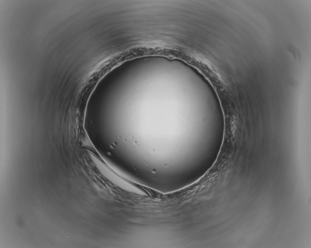 X0000112880968200909041638