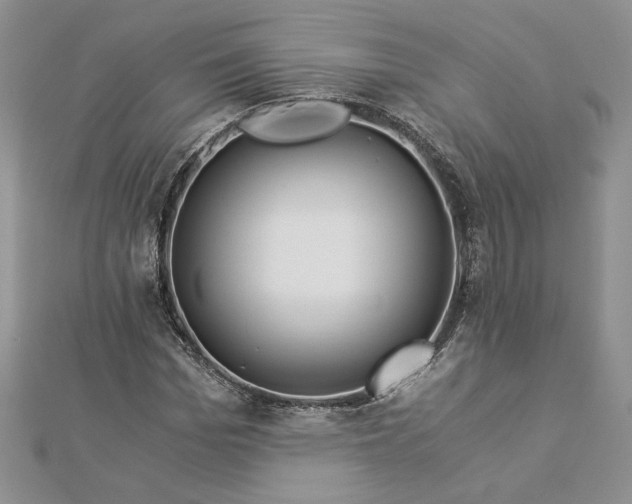 X0000112880969200909041638