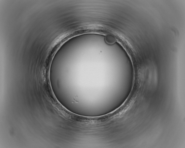 X0000112880970200909041638