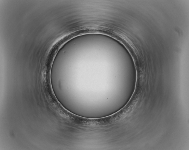 X0000112880971200909041638