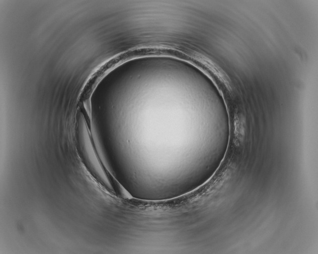 X0000112880972200909041638