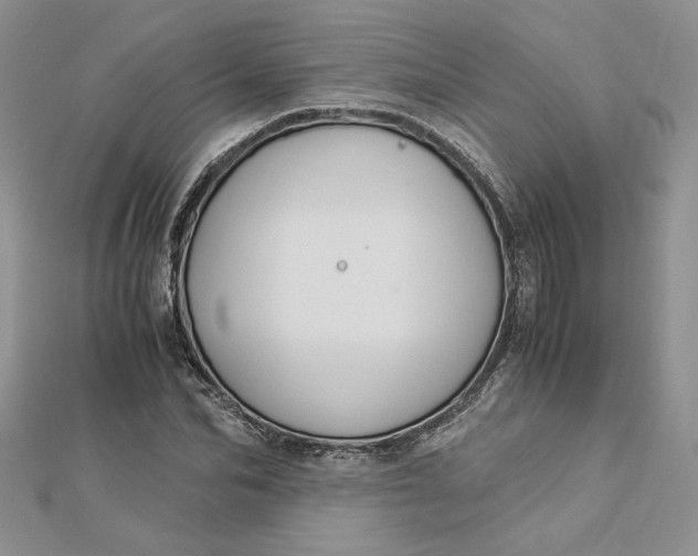 X0000112880974200909041638