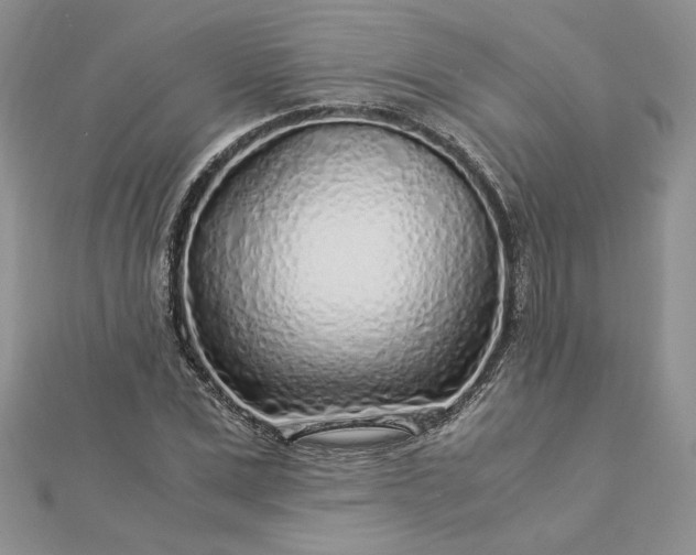 X0000112880975200909041638