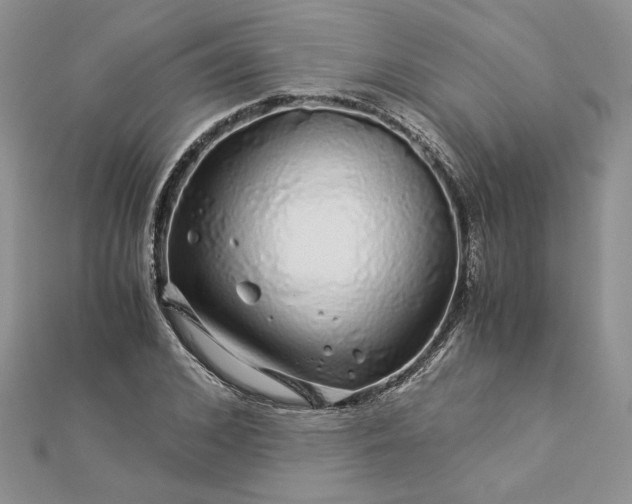 X0000112880976200909041638