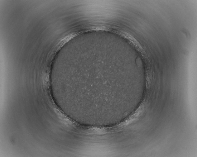 X0000112880977200909041638