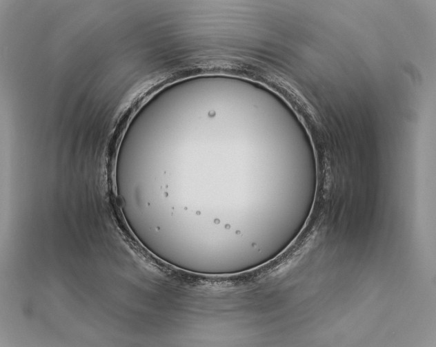 X0000112880978200909041638